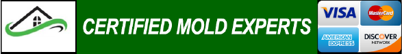 Mold Removal Testing Remediation Inspection Bergen County Passaic Hudson NJ Essex Companies Near Me