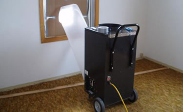 Basement Mold Removal Remediation Inspection Testing Services Berkeley Heights NJ Near Me Pennington Medford Flanders Denville