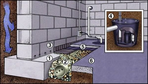 Basement Mold Removal Testing Inspection Remediation Morristown NJ Companies Services Short Hills Holmdel Manalapan West Orange Kitchen