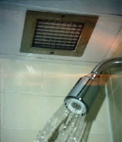 Mold Removal Testing Remediation Inspection Marlboro NJ Brick Companies Near Me Colts Neck Montclair Jackson Bathroom