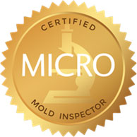 Attic Mold Removal Testing Inspection Remediation Bedminster Nutley Companies Summit Wayne Atlantic Highlands NJ Bathroom