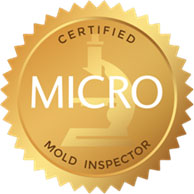 Mold Remediation Oakhurst NJ, New Jersey 