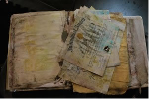 Basement Mold Testing Remediation Removal Companies Inspection Clarksburg Lebanon Avenel Ringwood Medford Lakes NJ Attic