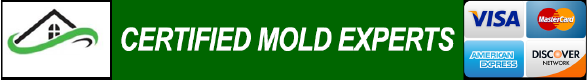 Basement kitchen mold testing and inspection companies near me in Long Branch NJ 07740