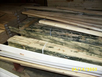 Mold Removal Testing Companies Near Me Remediation Inspection Basking Ridge NJ Cinnaminson Lanoka Harbor Oak Ridge