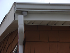 Bathroom Mold Removal Testing Remediation Inspection Marlboro NJ Brick Services Near Me Colts Neck Montclair Jackson Basement