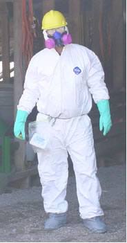 Basement Mold Removal Testing Remediation Inspection Services Companies Ramsey NJ Edison Lincroft Florham Park Bridgewater