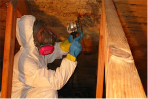 Basement Mold Removal Companies Near Me Testing Remediation Inspection Montville NJ Dumont Glen Ridge Denville Warren Wharton