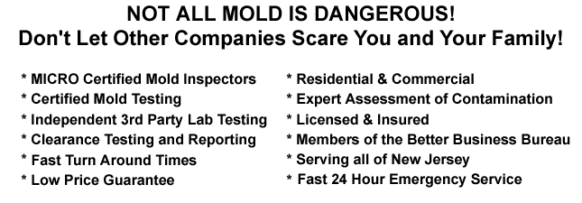 Closet Mold Remediation Glen Ridge NJ 07028 Black Mold Removal Mold Testing Bathroom 07028 Mold Inspection Ceiling