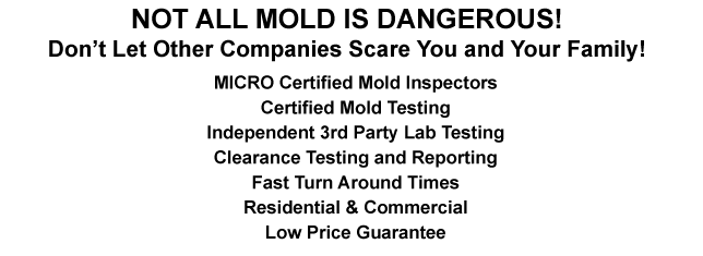 Basement 06611 Mold Testing Trumbull CT Mold Inspection 06611 Mold Removal Trumbull CT Mold Remediation 06611