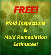 Basement Mold Testing Remediation Removal Inspection Tinton Falls NJ Middletown Near Me Franklin Park Saddle Brook